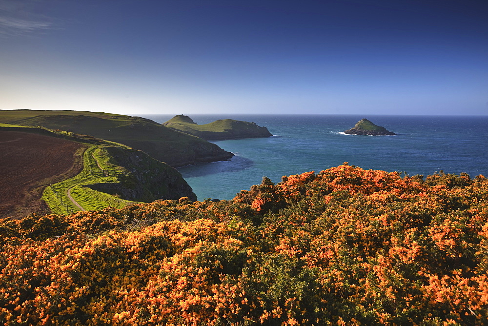 The Rumps, Cornwall, England, United Kingdom, Europe