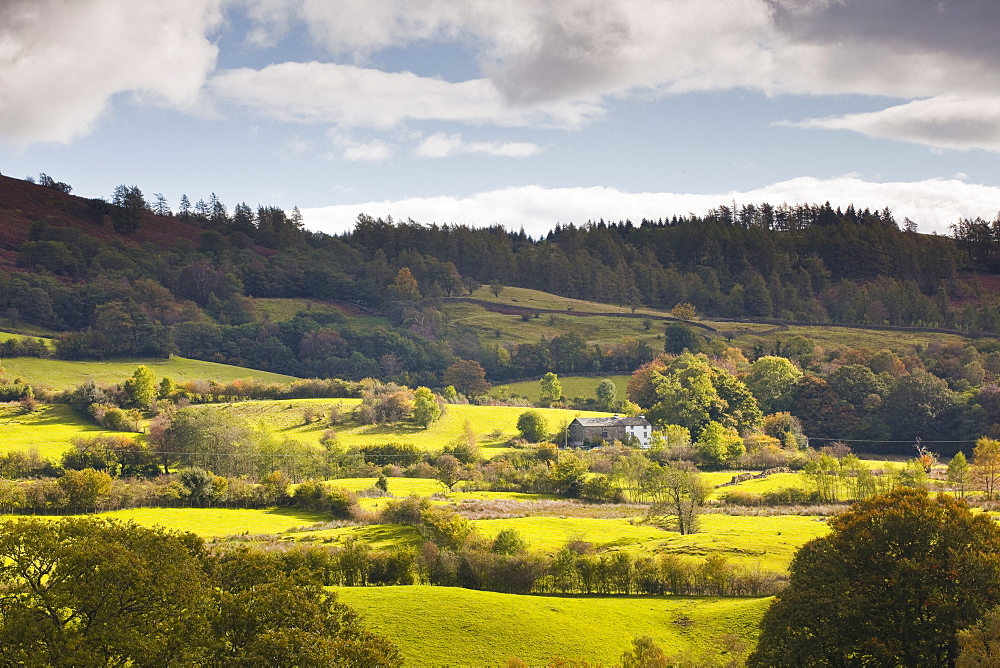 The sun lights up typical Lake District countryside near to Outgate, Cumbria, England, United Kingdom, Europe