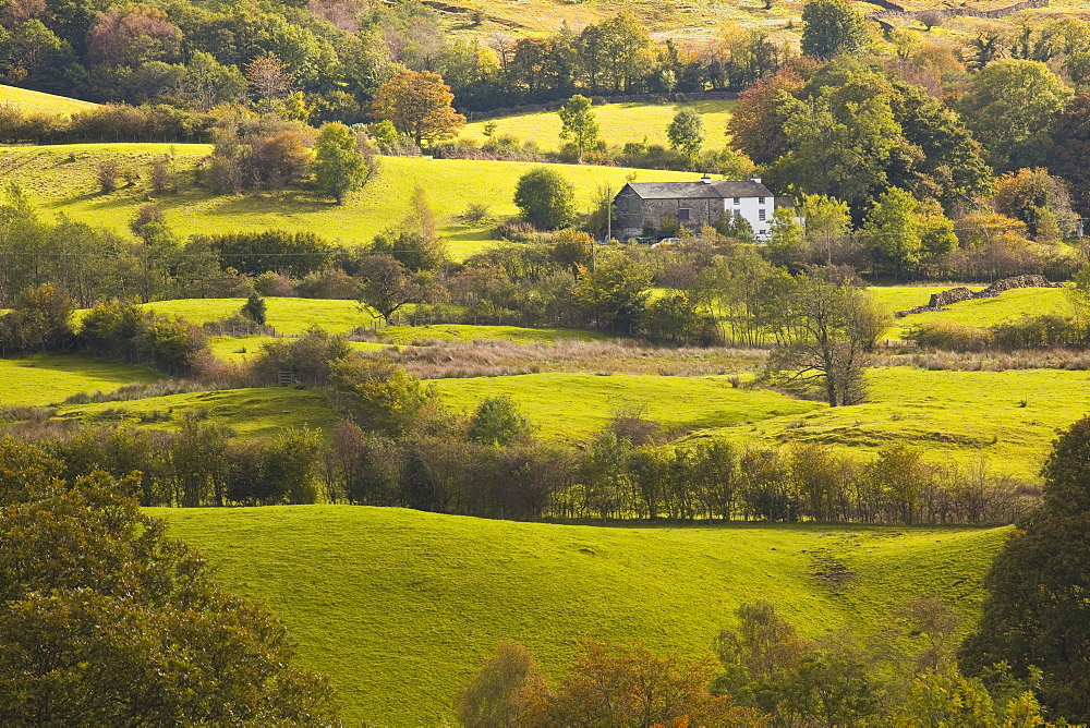 The sun lights up typical Lake District countryside near to Outgate, Cumbria, England, United Kingdom, Europe