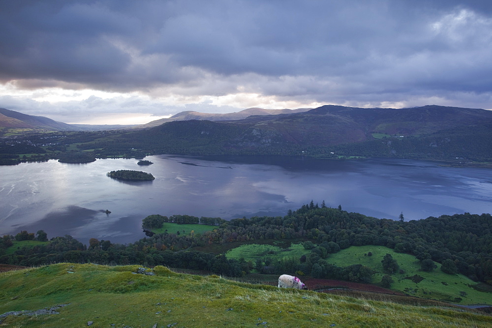 Derwent Water under a cold sunrise in October, Lake District National Park, Cumbria, England, United Kingdom, Europe 