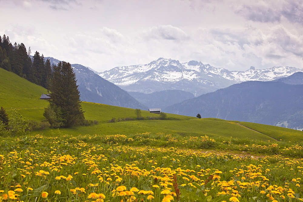 The snow capped mountains of the Haute-Savoie near to Les Saisies, Haute-Savoie, France, Europe