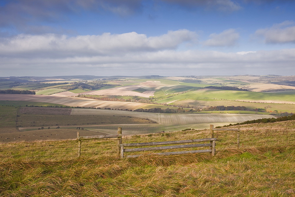 The rolling hills of the South Downs National Park near Brighton, Sussex, England, United Kingdom, Europe