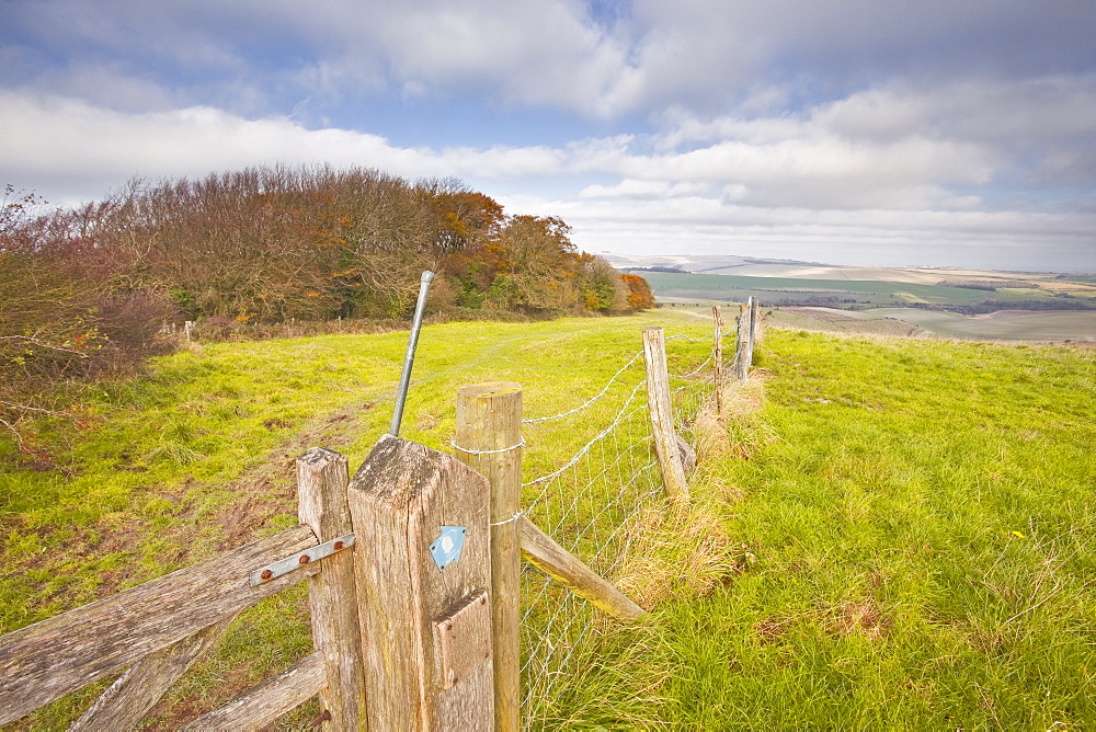 The rolling hills of the South Downs National Park near to Brighton, Sussex, England, United Kingdom, Europe