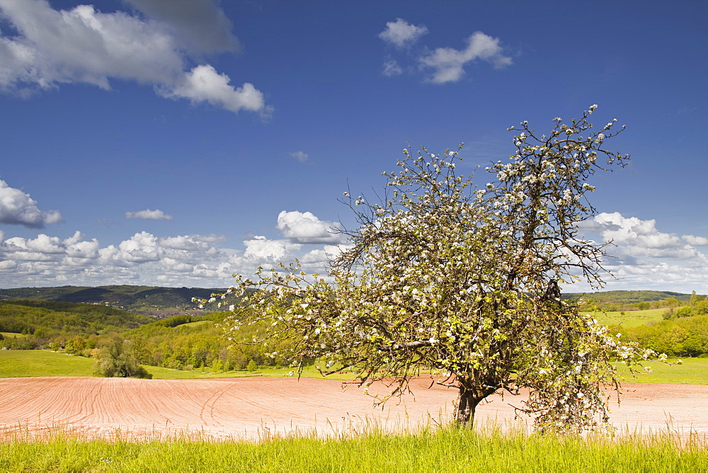 The Dordogne countryside in spring time, Dordogne, France, Europe