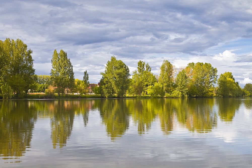 Trees reflecting in the River Dordogne, Dordogne, France, Europe