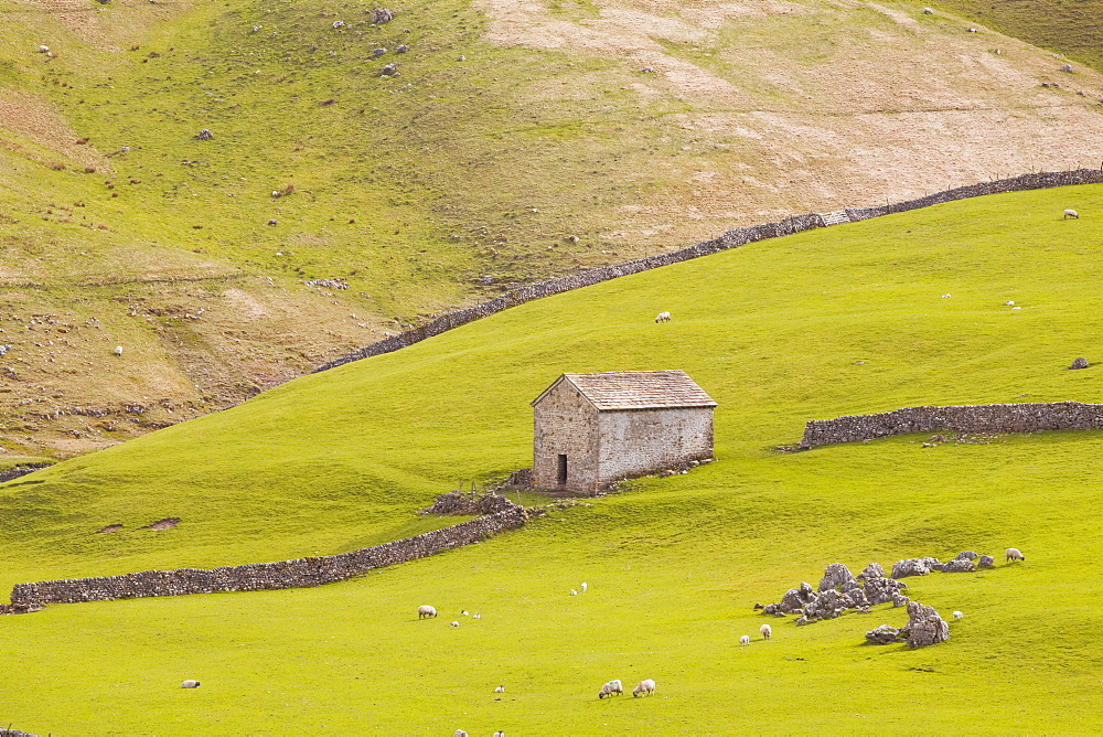 A stone barn near to Littondale in the Yorkshire Dales, Yorkshire, England, United Kingdom, Europe 