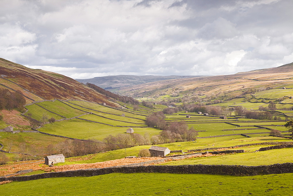 Swaledale in the Yorkshire Dales National Park, Yorkshire, England, United Kingdom, Europe 