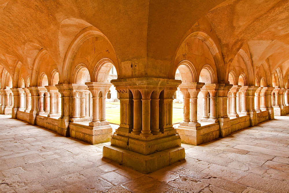 The cloisters of Fontenay Abbey, UNESCO World Heritage Site, Cote d'Or, Burgundy, France, Europe