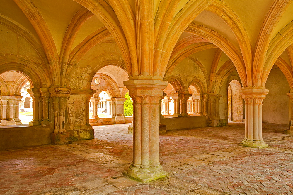 The chapter house of Fontenay Abbey, UNESCO World Heritage Site, Cote d'Or, Burgundy, France, Europe 