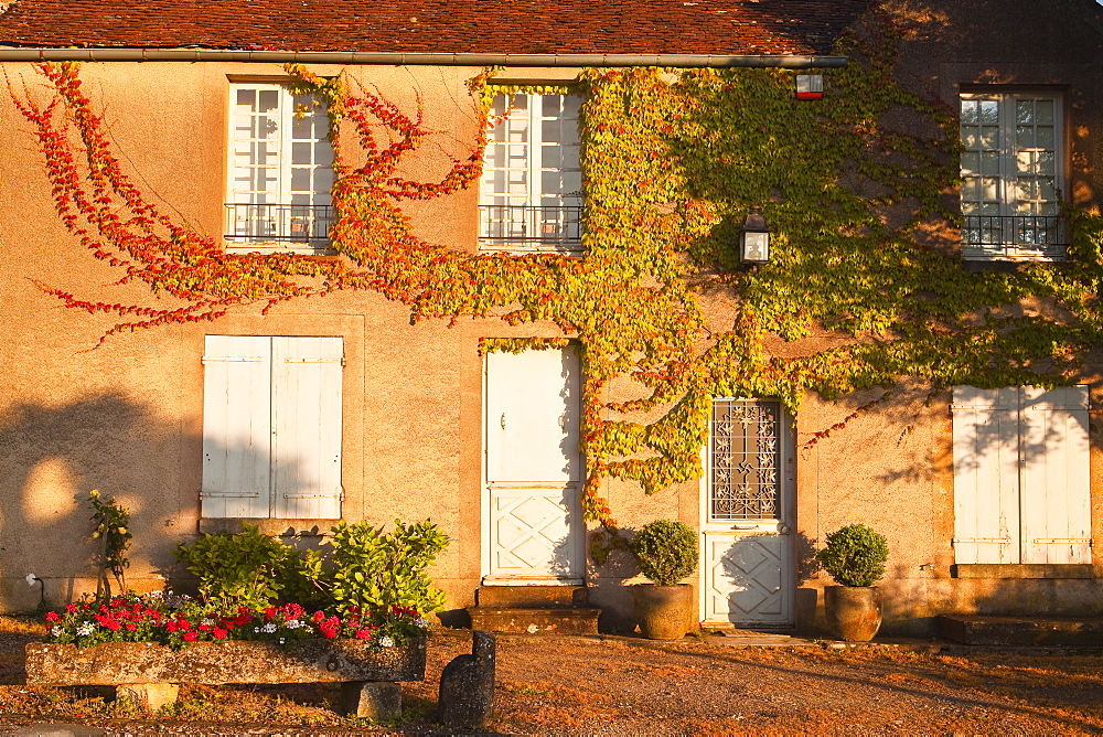 A house in the village of Vezelay, lit by the setting sun, Vezelay, Yonne, Burgundy, France, Europe