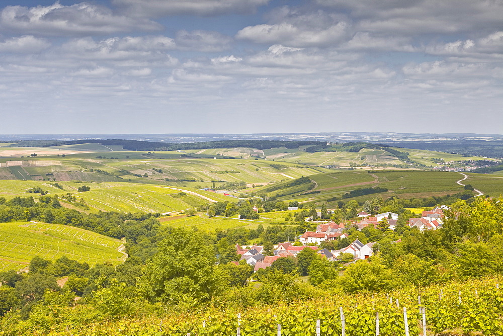 Looking down on the village of Amigny near to Sancerre, an area famous for its wine, Cher, Centre, France, Europe 