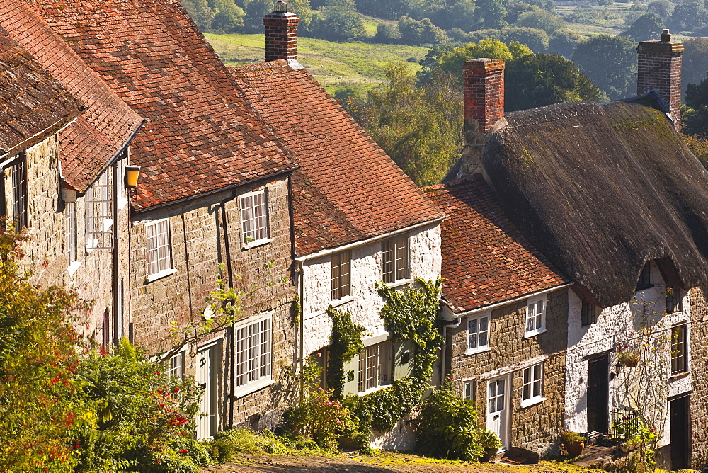 The famous cobbled street of Gold Hill in Shaftesbury, Dorset, England, United Kingdom, Europe