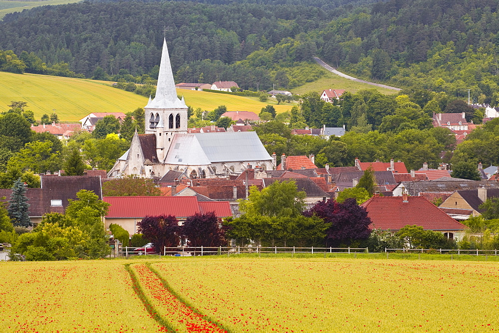 The village of Ricey Haut in the Champagne area, France, Europe 