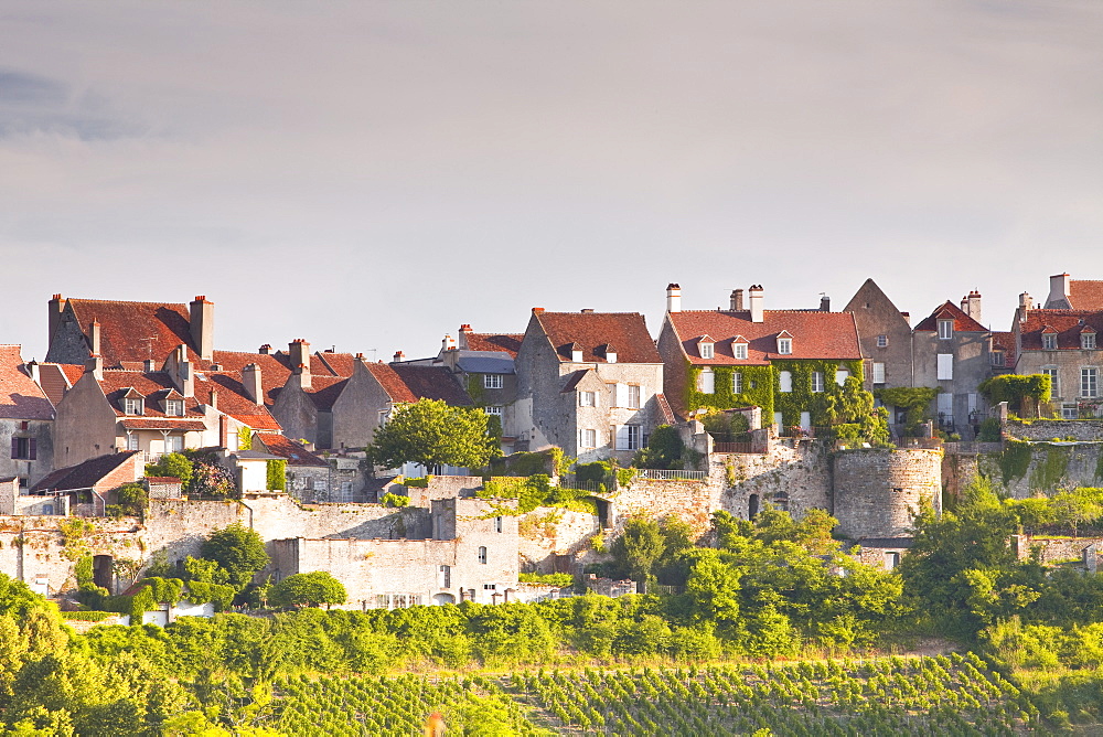 Le Clos Vineyard below the hilltop village of Vezelay in Burgundy, France, Europe 