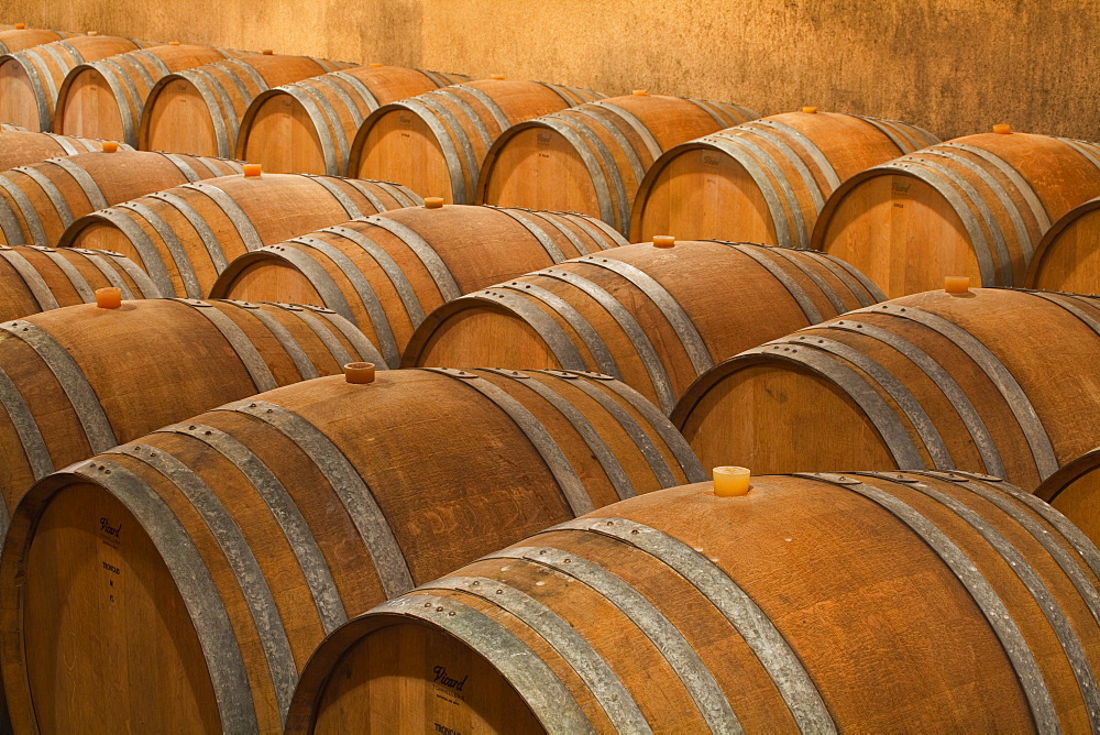 The wooden wine barrels used to age the wine at Gitton Pere et Fils in Sancerre, Cher, Centre, France, Europe