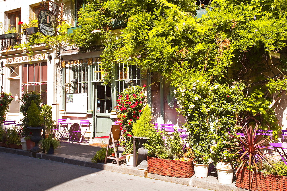 A cafe in the backstreets of Ile de la Cite, Paris, France, Europe