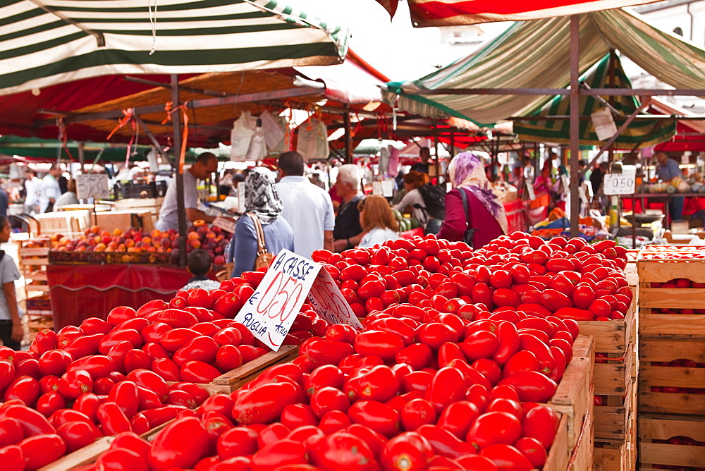 Tomatoes on sale at the open air market of Piazza della Repubblica, Turin, Piedmont, Italy, Europe