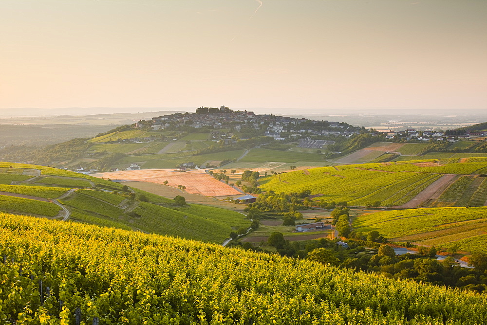 Dawn light starts to fill the skies above the village and vineyards of Sanerre, Cher, Loire Valley, Centre, France, Europe