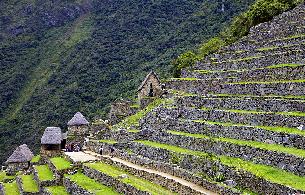 Agricultural terraces , Machu Picchu, peru, peruvian, south america, south american, latin america, latin american South America. The lost city of the Inca was rediscovered by Hiram Bingham in 1911