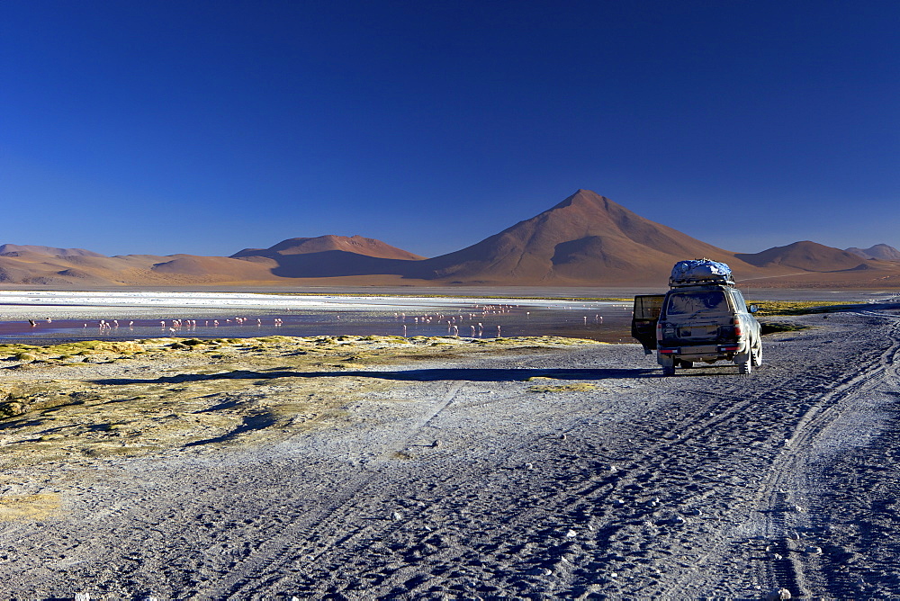 Laguna Colorada (Red Lagoon), a shallow salt lake in the southwest of the altiplano, within Eduardo Avaroa Andean Fauna National Reserve, Bolivia, South America