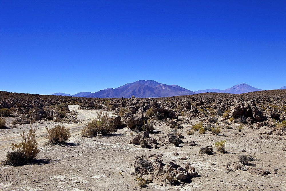 Southwest Highlands, Bolivia, South America