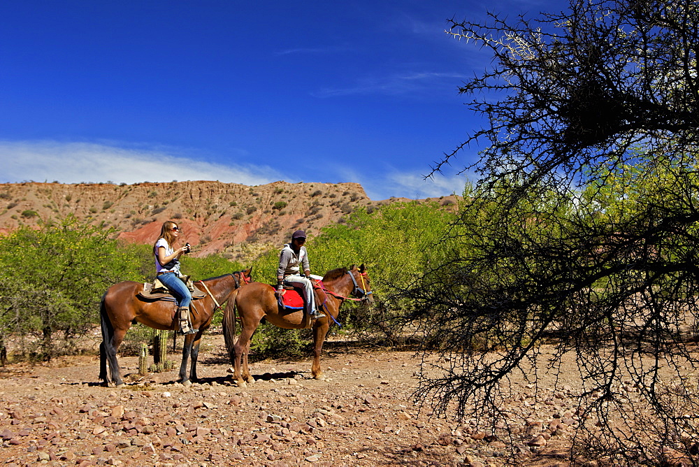 Horse riding, Canon Del Inca, Tupiza Chichas Range, Bolivia, South America