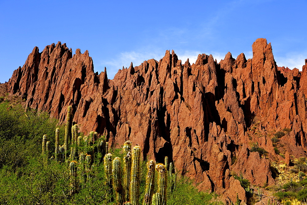 Red rock formations in the Canon Del Inca, Tupiza Chichas Range, Andes, Southwestern Bolivia, South America