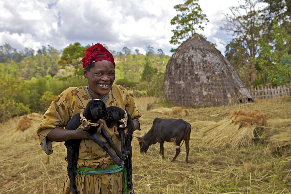 Farmer holding lambs, Chencha, Dorze, Ethiopia, Africa