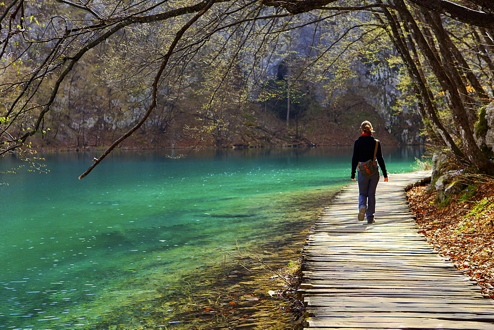 Visitor on wooden walkway path over Crystal Clear Waters of Plitvice Lakes National Park, UNESCO World Heritage Site, Plitvice, Croatia, Europe