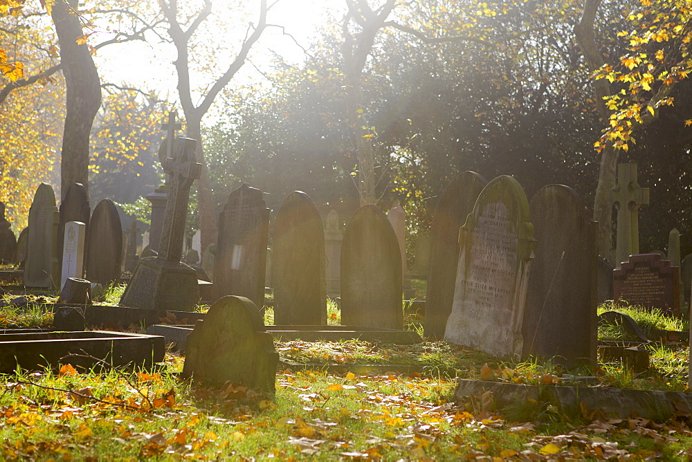 Grave stones on a sunny autumn day at the City of London Cemetery, London, England, United Kingdom, Europe