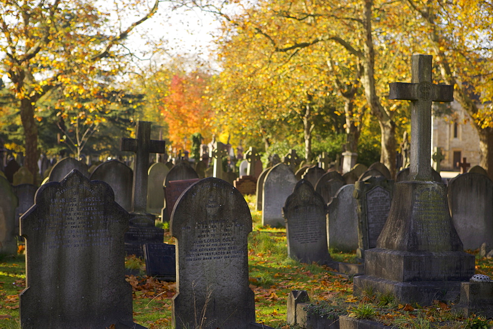 Grave stones on a sunny autumn day at the City of London Cemetery, London, England, United Kingdom, Europe