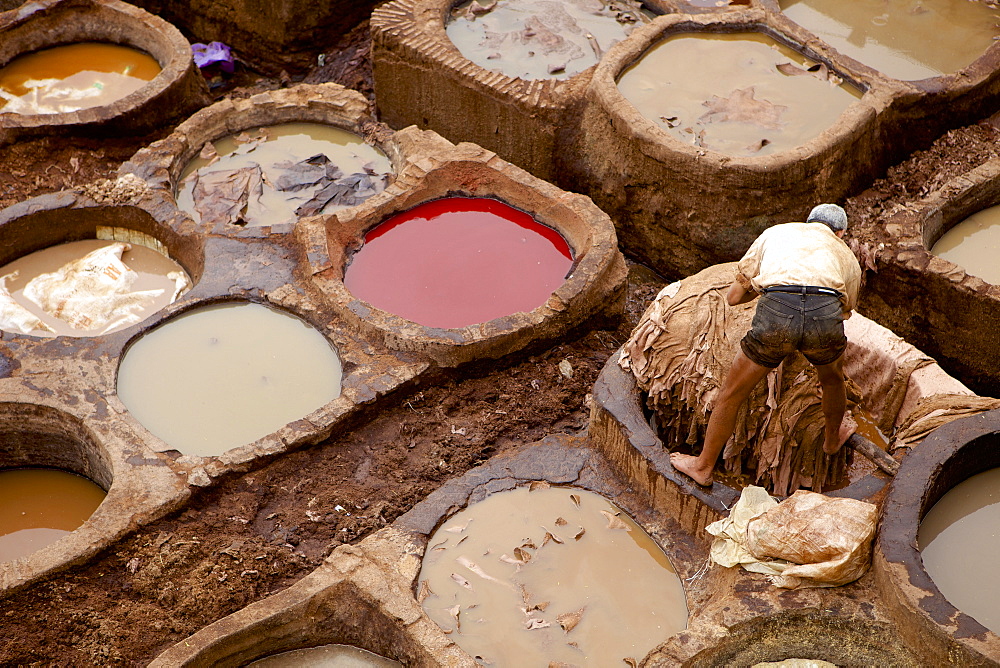 Tannery, Fes (Fez), Morocco, North Africa, Africa