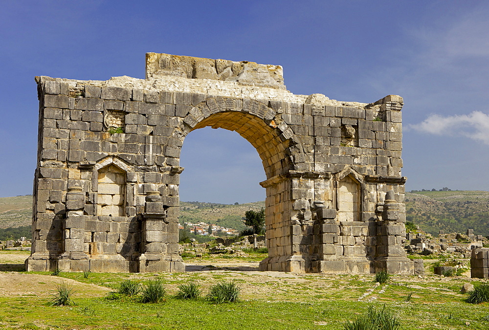 Roman archaeological site, Volubilis, UNESCO World Heritage Site, Meknes Region, Morocco, North Africa, Africa