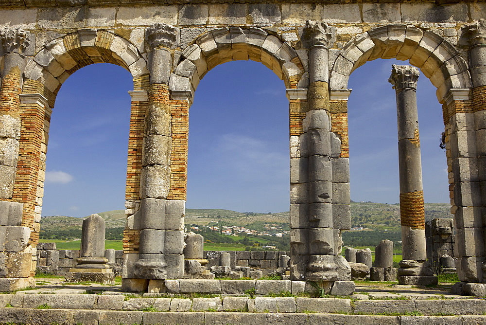 Roman archaeological site, Volubilis, UNESCO World Heritage Site, Meknes Region, Morocco, North Africa, Africa