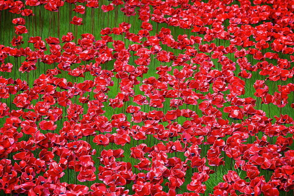 Blood Swept Lands and Seas of Red installation at The Tower of London marking 100 years since the First World War, London, England, United Kingdom, Europe