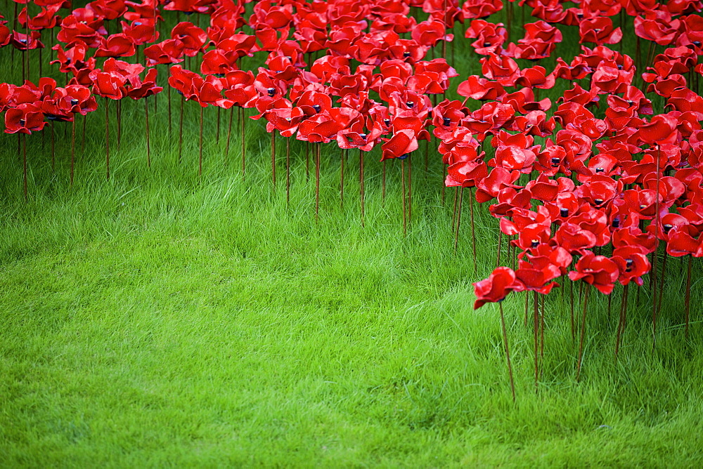 Blood Swept Lands and Seas of Red installation at The Tower of London marking 100 years since the First World War, London, England, United Kingdom, Europe