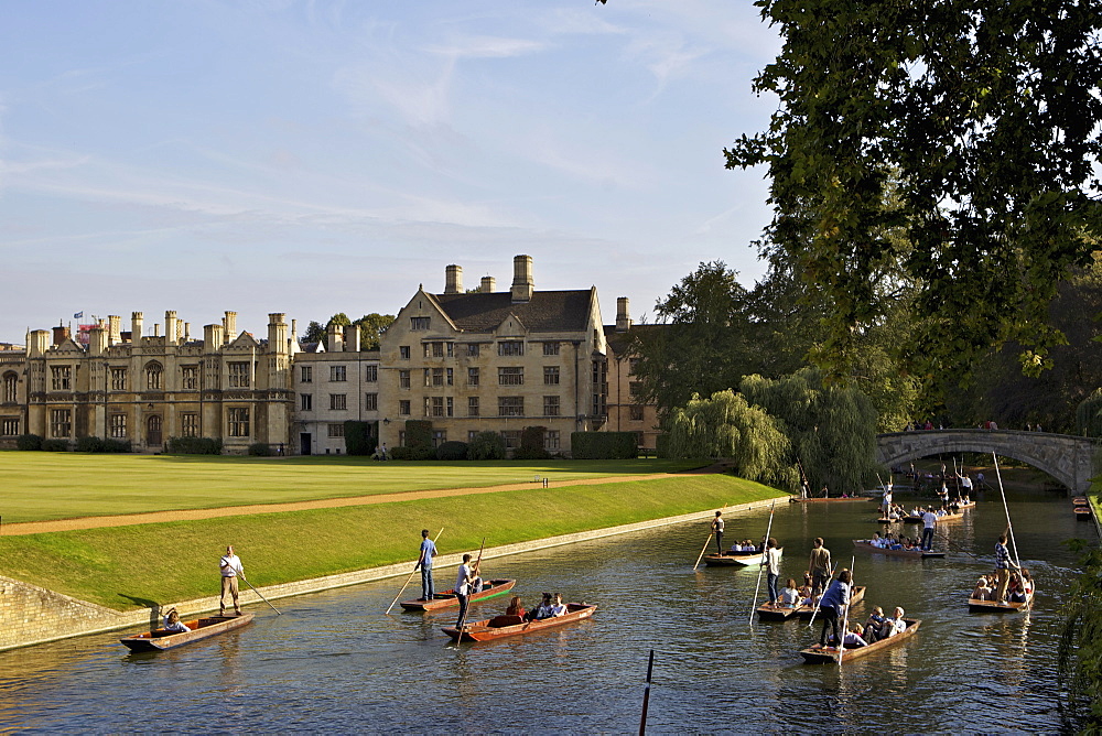 Punting on The Backs, River Cam, Clare College, Cambridge, Cambridgeshire, England, United Kingdom, Europe