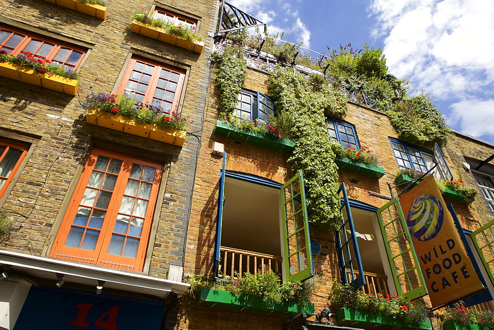 Neals Yard in Covent Garden, London, England, United Kingdom, Europe