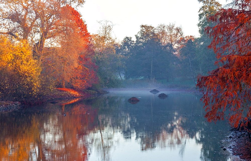 Autumn in Kew Gardens, UNESCO World Heritage Site, Kew, Greater London, England, United Kingdom, Europe