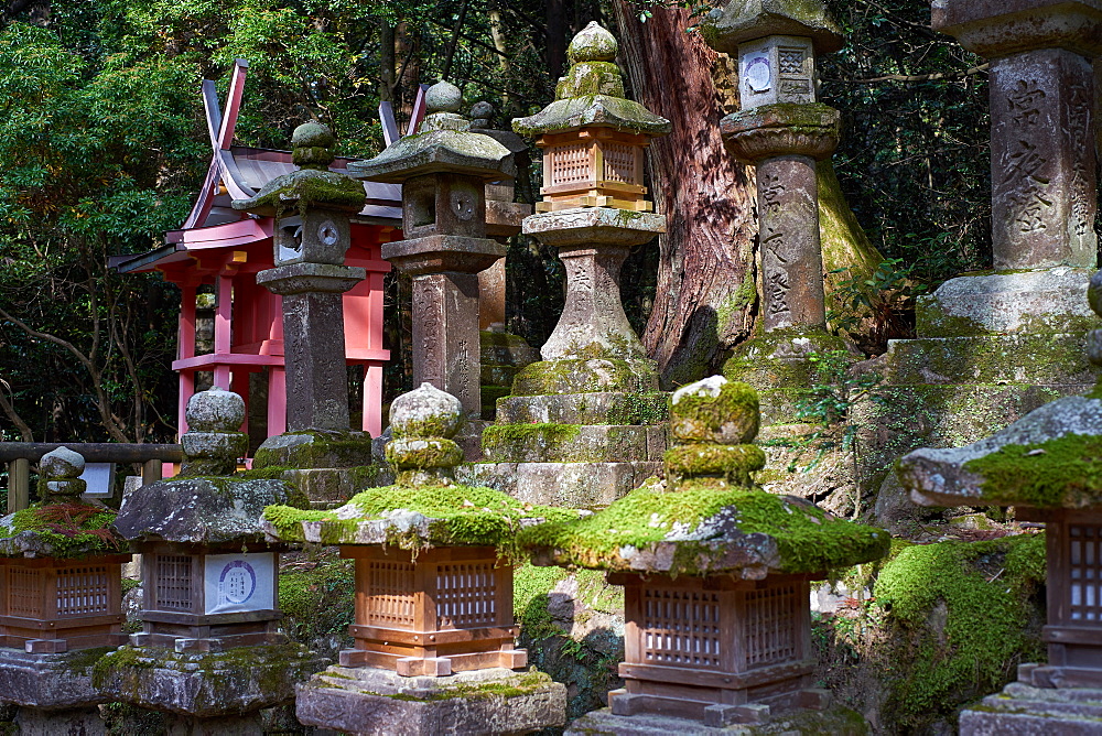 Stone lanterns at Kasuga Wakamiya Shrine in Nara Park, Nara, Japan, Honshu, Japan, Asia