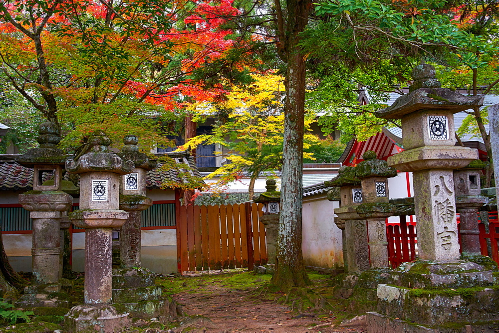 Autumn colours at Tamukeyama Hachimangu shrine in Nara, Honshu, Japan, Asia