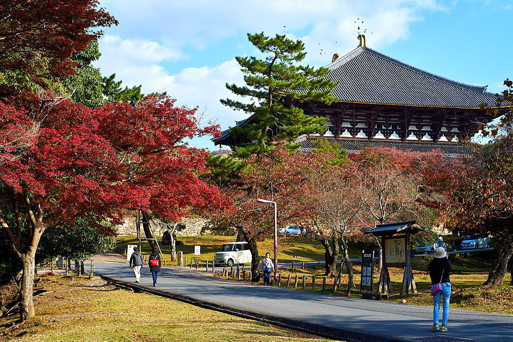 Nara Park in autumn with Todaiji Temple in the background, Nara, Japan, Asia