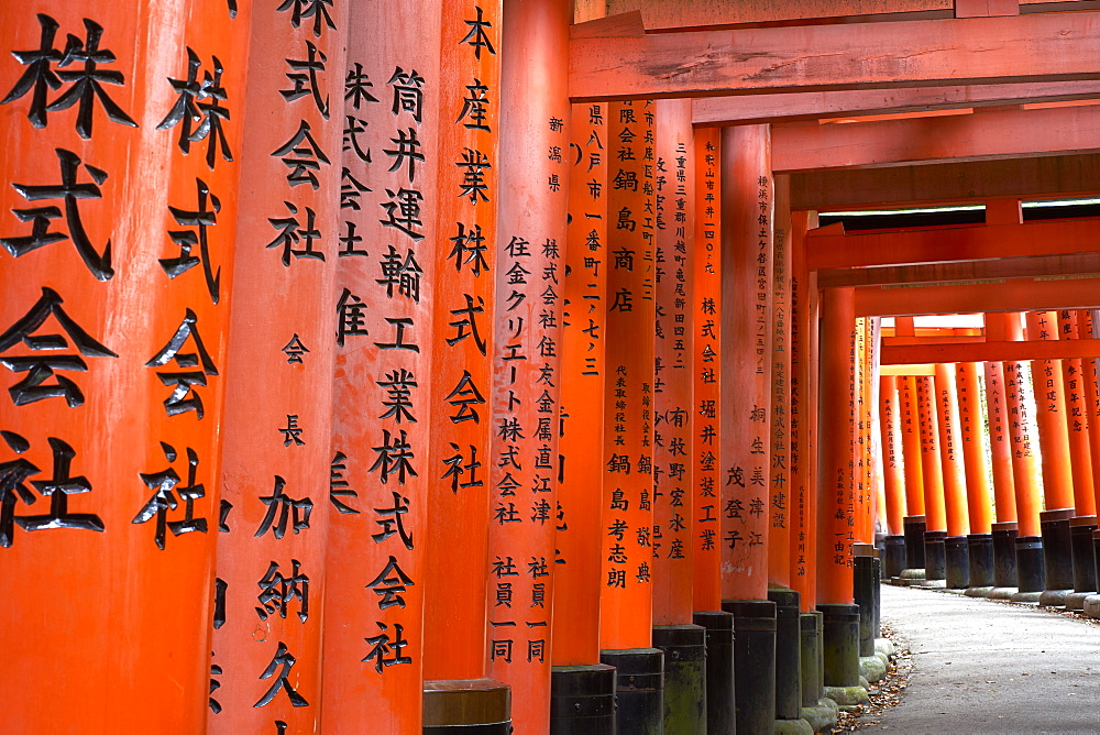 Prayers written in Japanese on the red wooden Torii Gates at Fushimi Inari Shrine, Kyoto, Japan, Asia