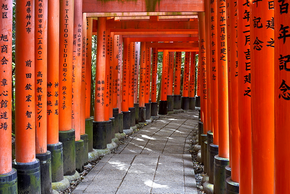 Red wooden Torii Gates at Fushimi Inari Shrine, Kyoto, Japan, Asia