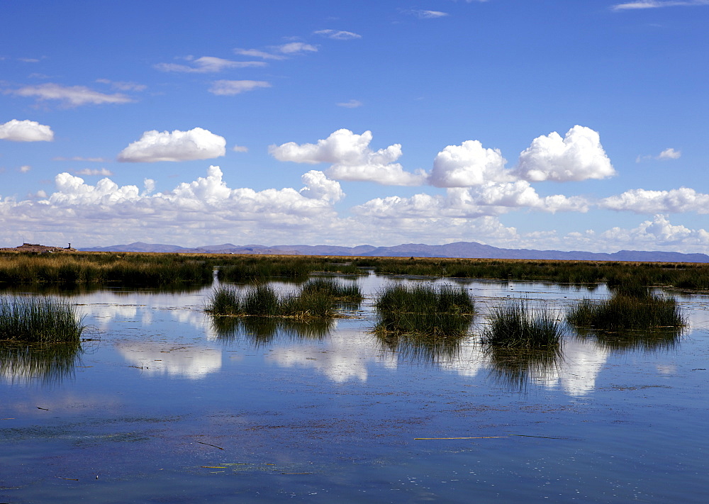 Lake Titicaca, peru, peruvian, south america, south american, latin america, latin american South America