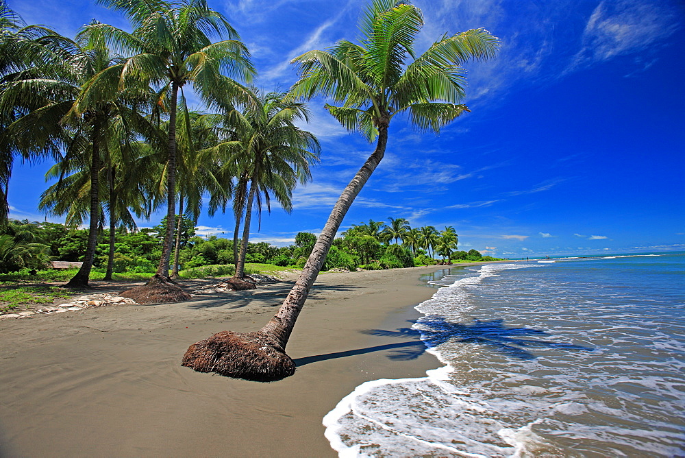 The Saint Martinâ€™s Island, locally known as Narkel Jinjira. It is the only coral island and one of the most famous tourist spots of Bangladesh. The 13 sq km island is a tropical treasure, situated 17 km away from Teknak and located in the northeast of the Bay of Bengal. Bangladesh