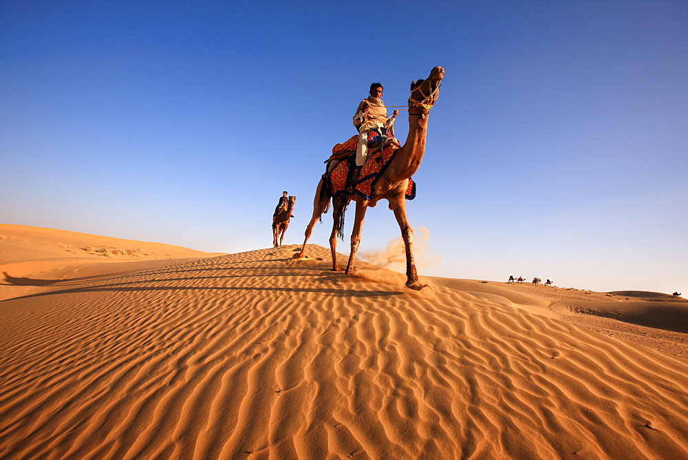 Camel riders during the Desert Festival in Jaisalmer, India