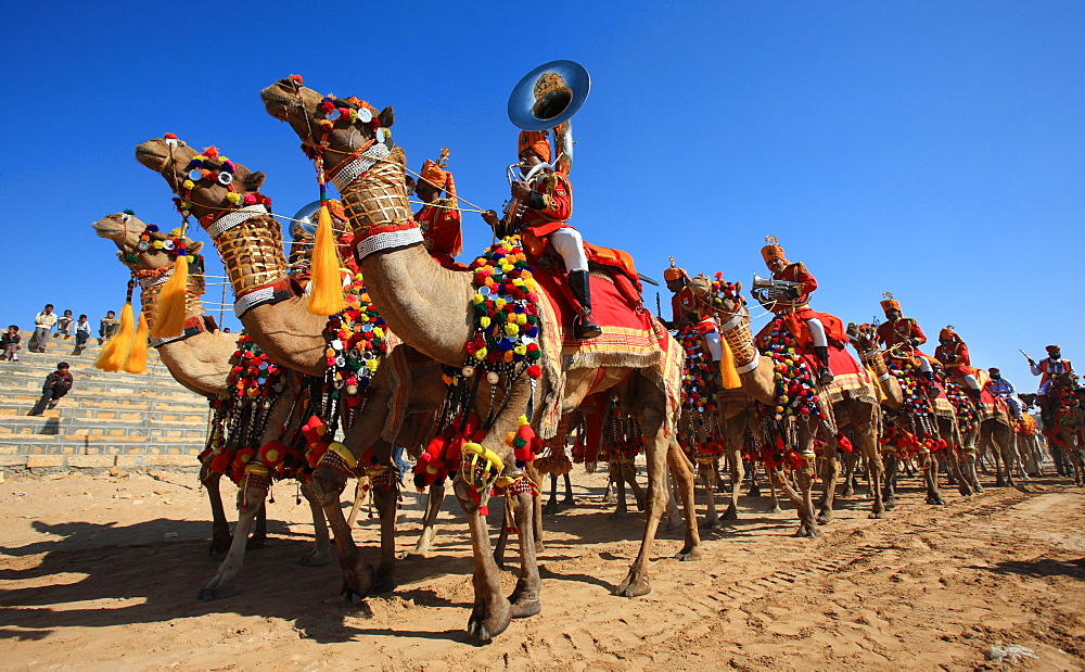 Camel Tattoo show during the Desert Festival, Jaisalmer, India