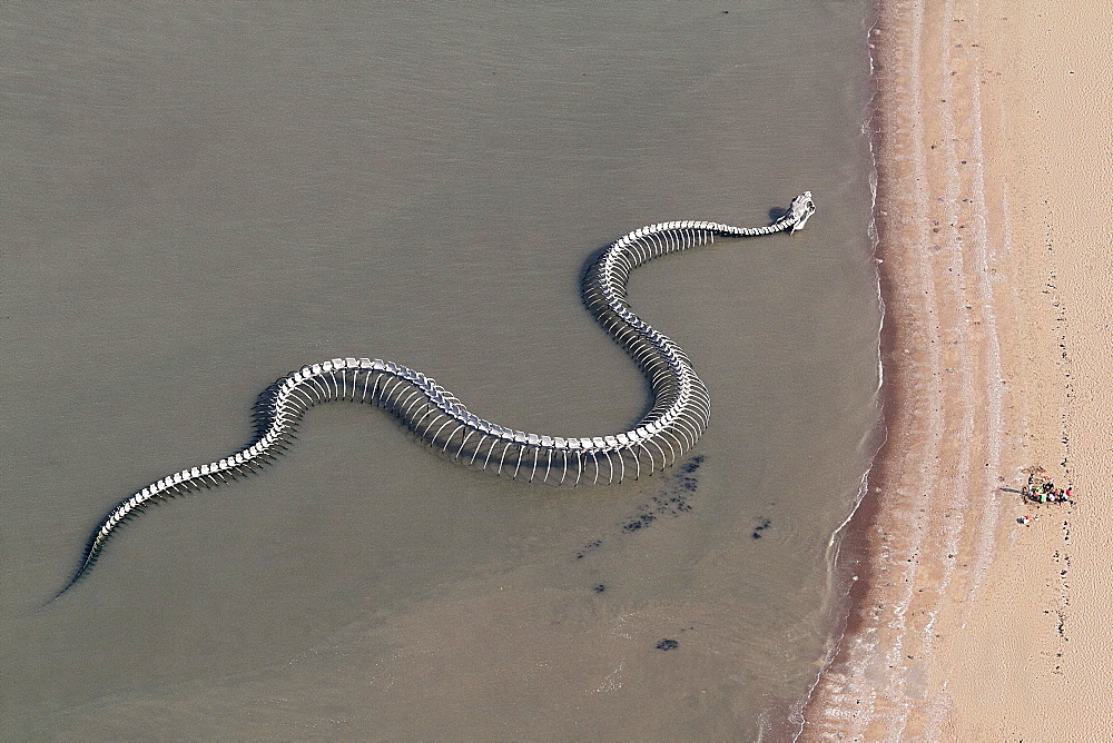 The 'Snake ocean', France Loire Estuary