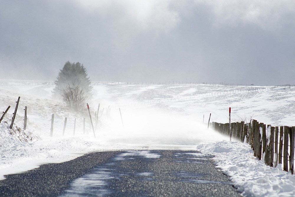 Snow drifts in winter, Massif du Sancy, Parc Naturel Regional des Volcans d'Auvergne , France